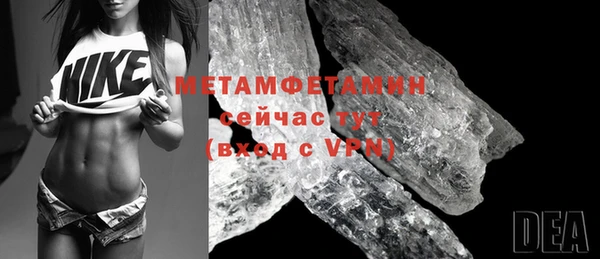 индика Вяземский