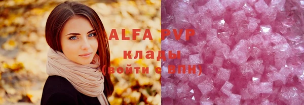 индика Вяземский