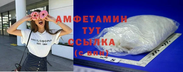 индика Вяземский
