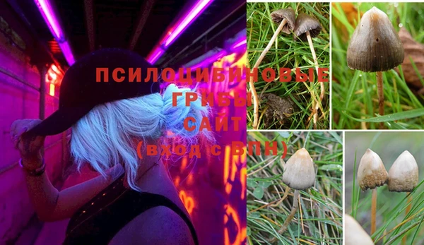 шишки Вязники