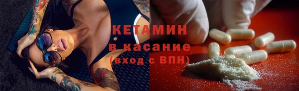 индика Вяземский