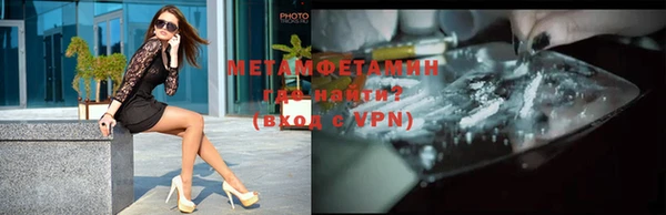 индика Вяземский