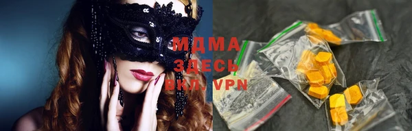 индика Вяземский