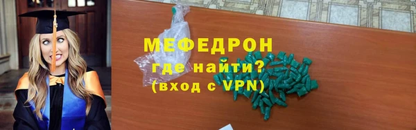 индика Вяземский