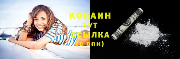 шишки Вязники