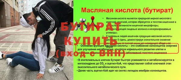 индика Вяземский
