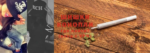 индика Вяземский
