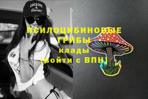 шишки Вязники