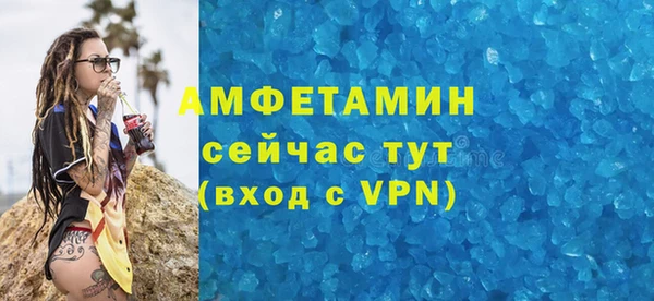 индика Вяземский