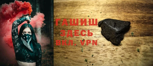 индика Вяземский
