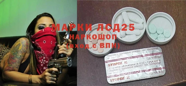 индика Вяземский