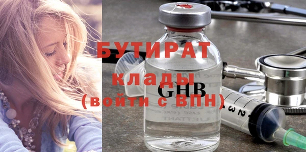 индика Вяземский