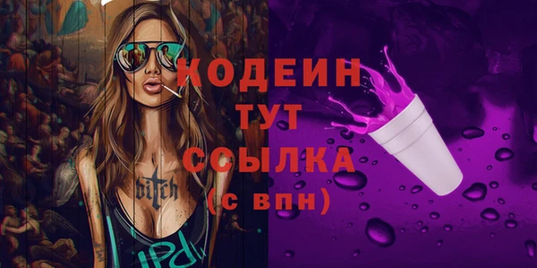 индика Вяземский