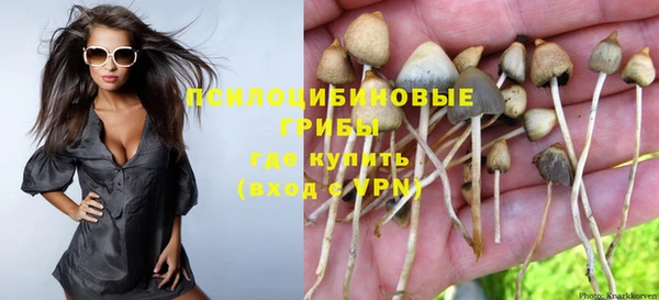 индика Вяземский