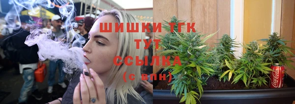 шишки Вязники