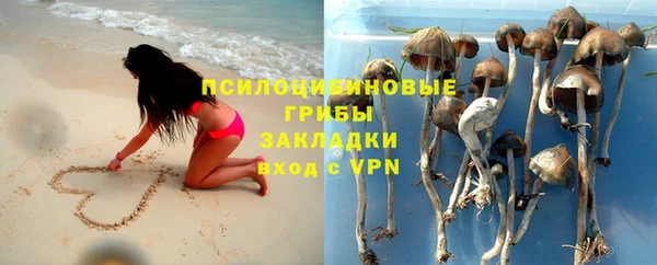 индика Вяземский