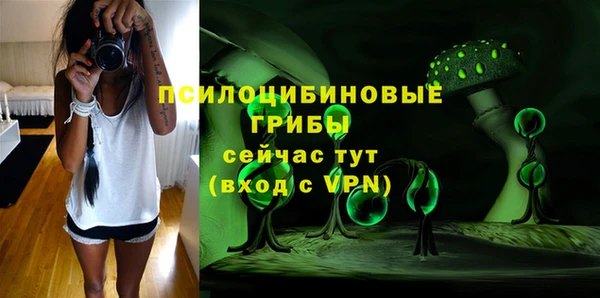 шишки Вязники